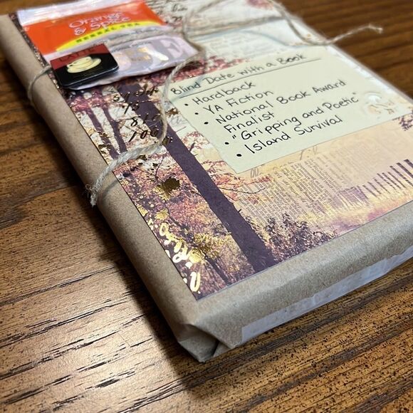 Surprise Blind Date with a Book Young Adult Fiction - Picture 4 of 4